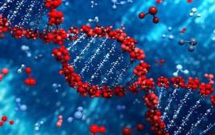 Naveena Hospital Biochemistry