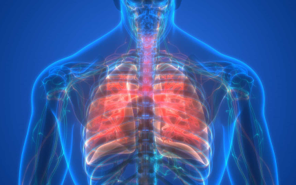 Naveena Hospital Paediatrics